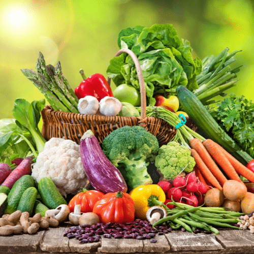 Seasonal Delights: Exploring the Changing Menus at Norfolk Meals on Wheels